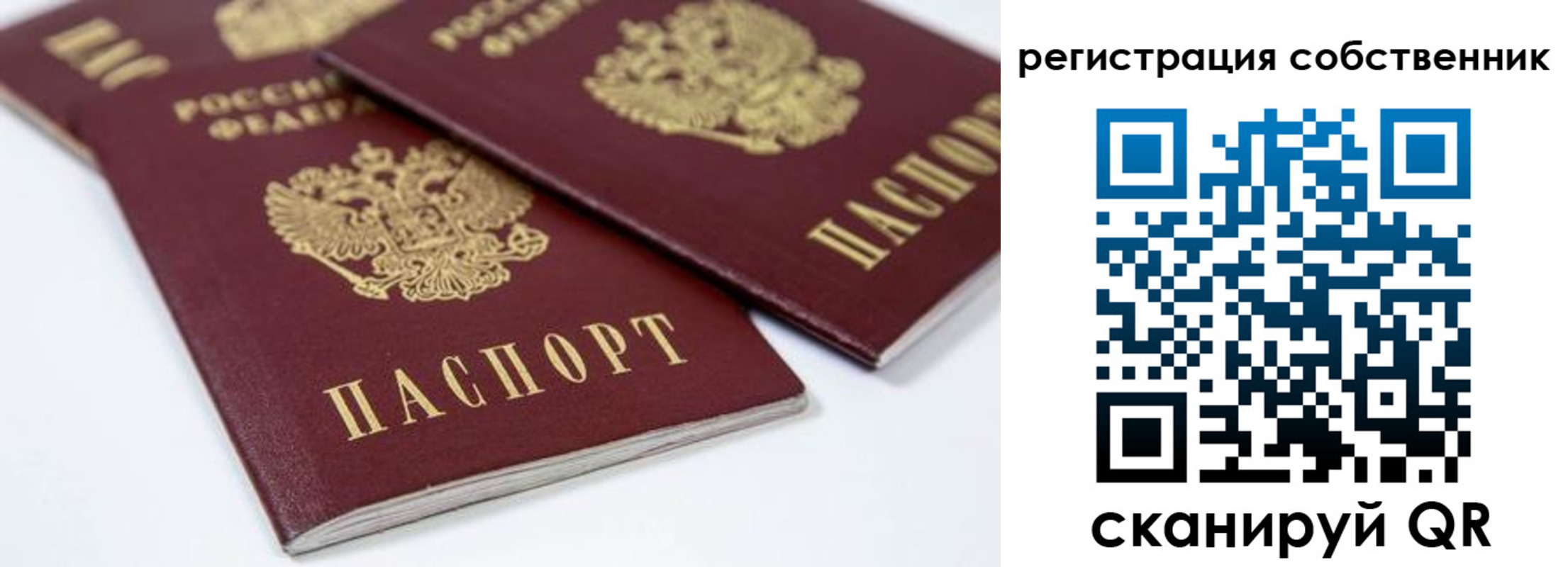 прописка для школы в Малой Вишере